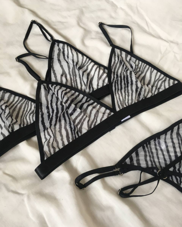 Conjunto cebra